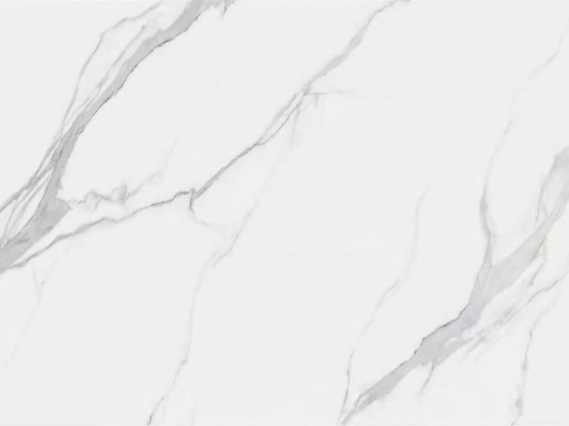 威尔斯白